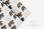 Bear Species Set - Hand-drawn PNGs, an Animal Illustration by LaurenFittonIllustration (Thumbnail 7 of 10)