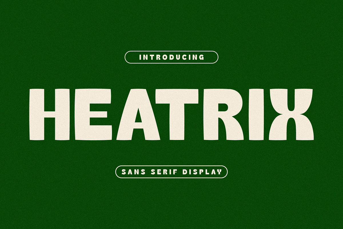 Heatrix Sans Serif Display, a Sans Serif Font by Storytype Studio (Photo 1 of 15)
