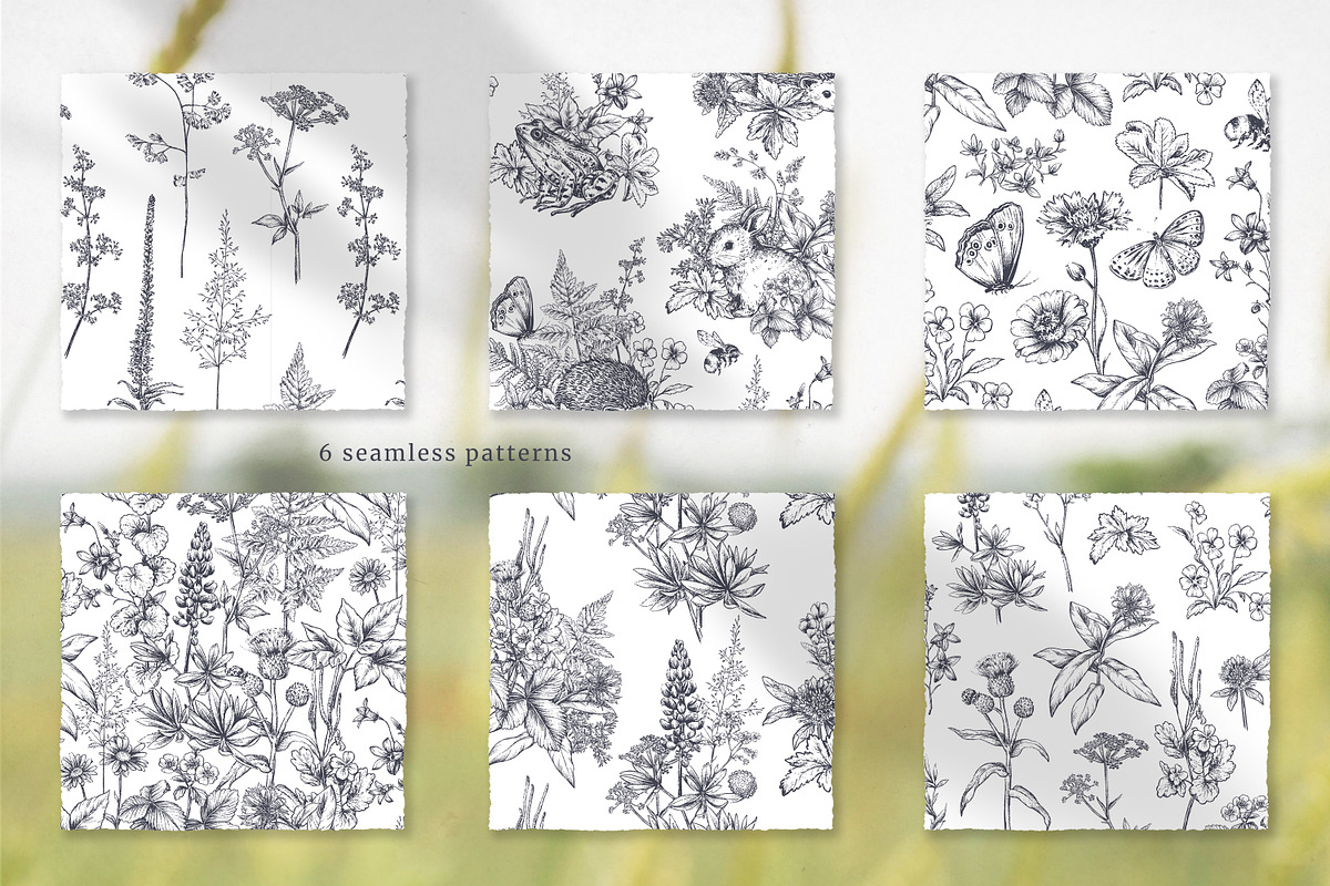Wildflower Meadow Vector Set, a Decorative Illustration by Molly art (Photo 8 of 12)