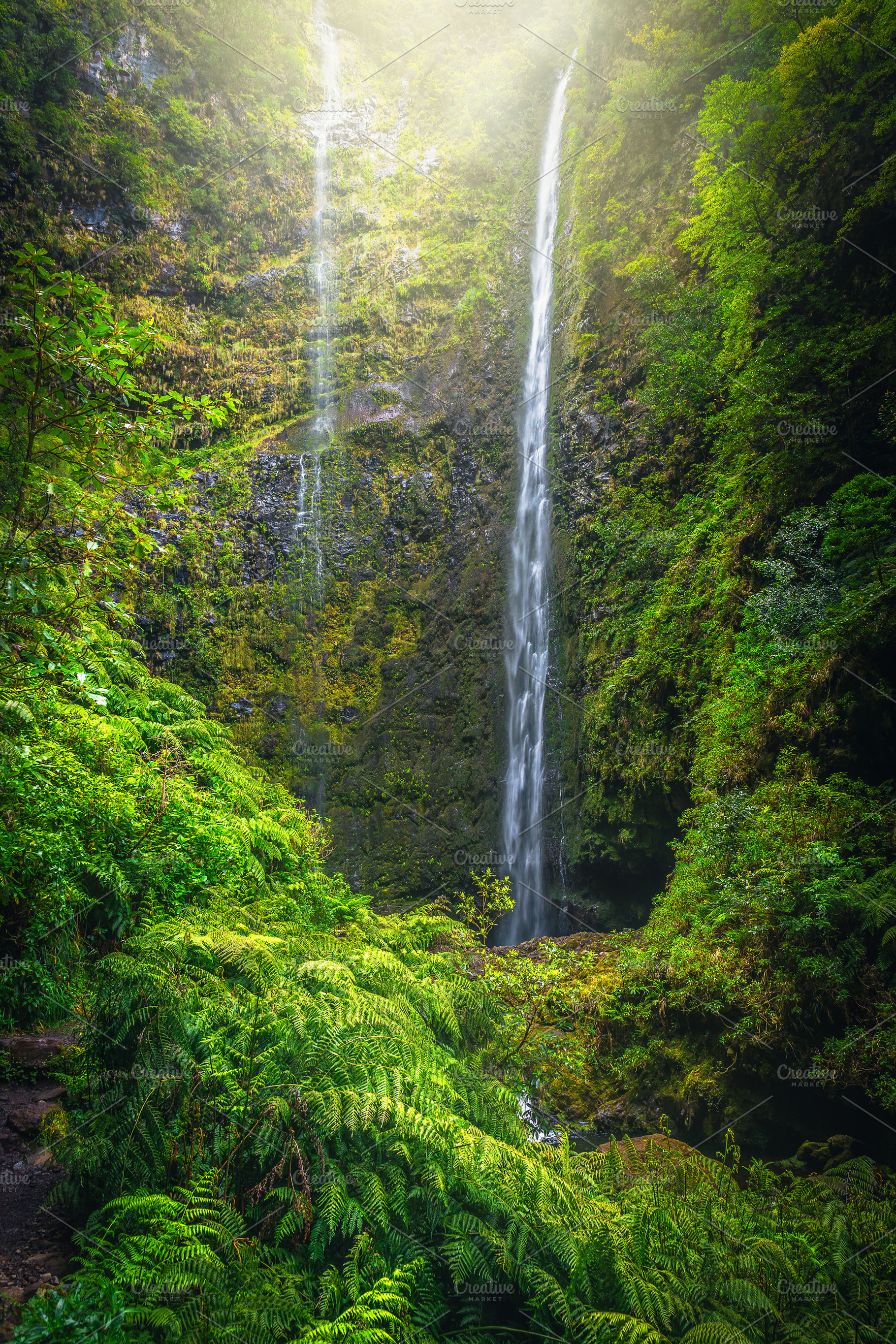 High waterfall in Madeira Island, a Nature Photo by Alpine Dreams