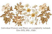Set Seamless Flowers Rose Hibiscus, a Pattern Graphic by Vintage (Thumbnail 3 of 10)