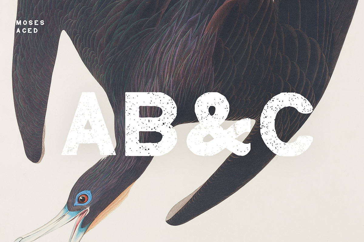 Moses - Display Grotesque Typeface preview 4