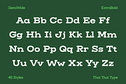 Slaab Font Family 45 Styles, a Slab Serif Font by That That Creative (Thumbnail 5 of 13)
