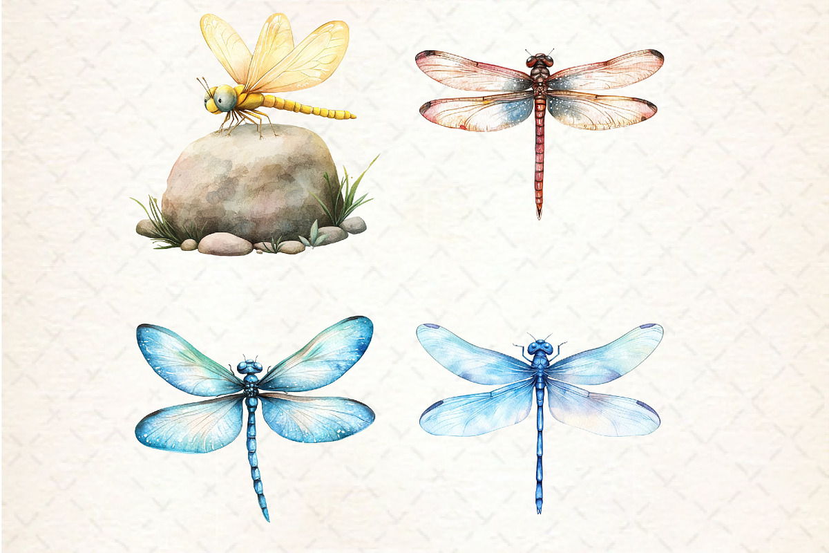 Summer Dragonfly Garden Clipart, an Illustration by Rose Art (Photo 3 of 4)