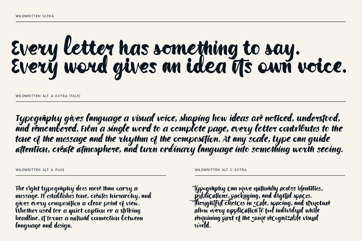 Wildwritten - Handwritten Script, a Script Font by Only Fonts (Photo 5 of 15)