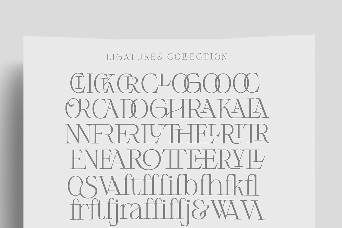 Respace, a Serif Font by Dora Typefoundry (Photo 10 of 21)