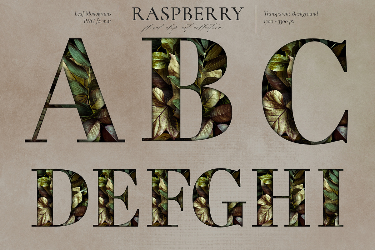 Raspberry Floral Clip Art Collection, an Object Graphic by Eclectic Anthology (Photo 6 of 12)