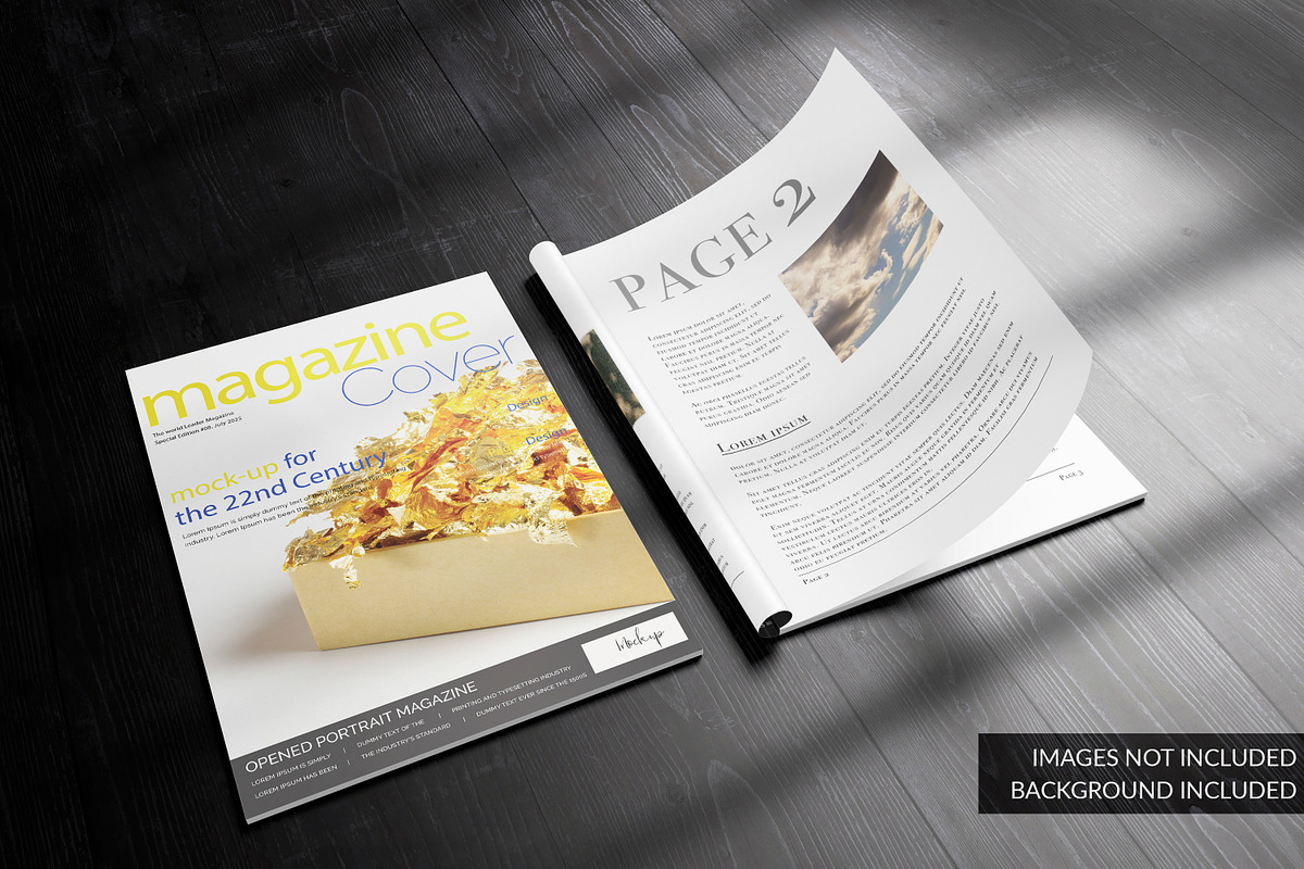 Opened and Closed Portrait Magazine, a Print Template by CleanLines (Photo 2 of 2)