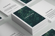 J U N I P E R Business Card Template, a Business Card Template by 46&2 Collective (Thumbnail 6 of 9)