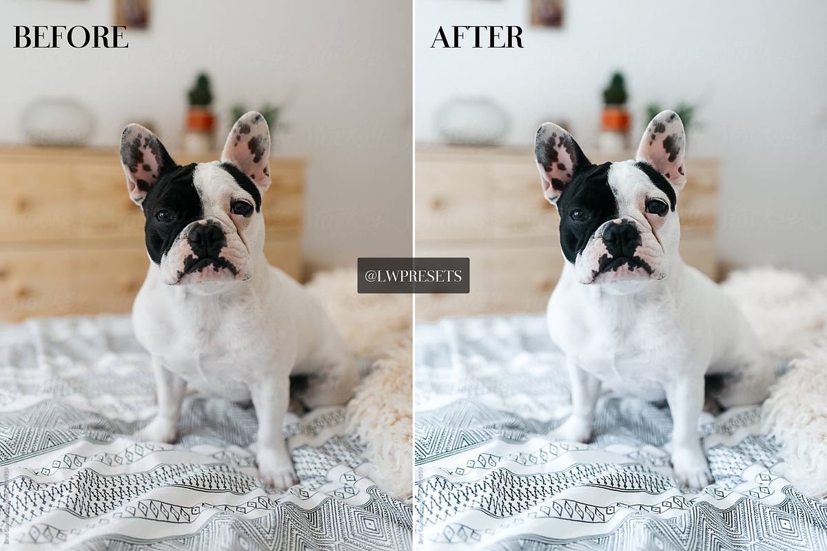 10 Bright & Airy Lightroom Presets, a Preset Add-On by LWPRESETS (Photo 2 of 10)