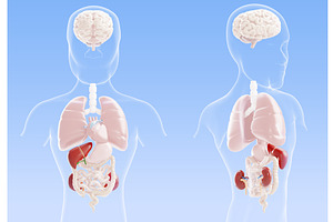 3d hepatitis and liver cirrhosis -, a Healthcare Illustration by Marozhkastudio