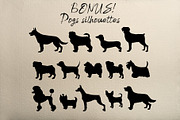 Dog breeds vintage hand drawn vector, an Illustration by Aquatinta (Thumbnail 8 of 8)