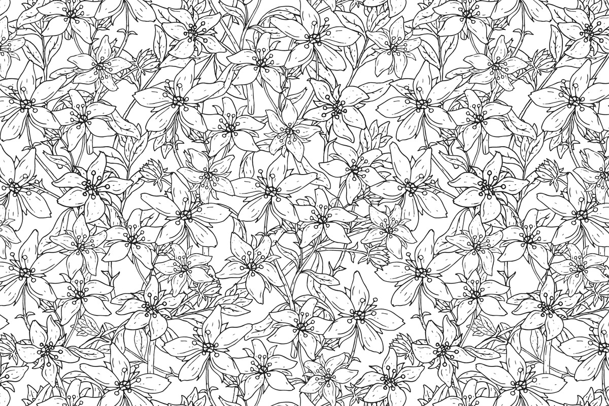 St.John's wort set, seamless pattern, a Decorative Illustration by Good Studio (Photo 5 of 6)