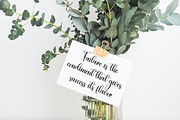 Beautica | Script Font, a Handwritten Font by Scratchones (Thumbnail 4 of 9)