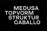 Calipso ND: display neo-grotesque, a Font by Nicolas Desle (Thumbnail 4 of 11)