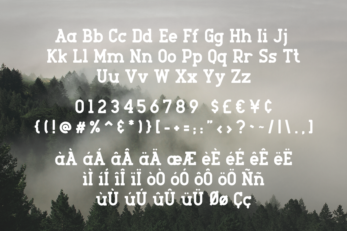 Sale 40% OFF - Roger Serif preview 5