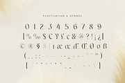 Quorum - Cinematic Luxury Font, a Serif Font by Sensatype (Thumbnail 11 of 13)