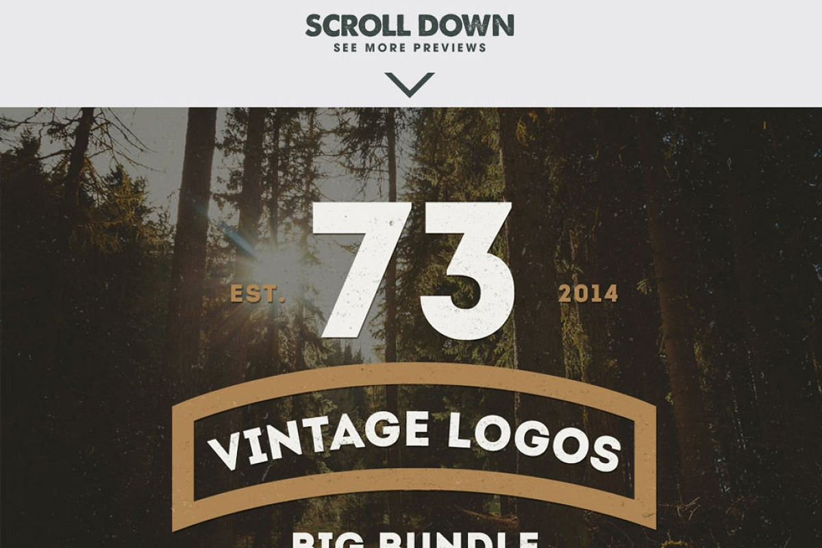 MEGA BUNDLE 1100 Logos & Badges, a Branding & Logo Template by Design District (Photo 51 of 75)