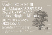 Bellrose Display Serif Font, a Serif Font by CarmineType (Thumbnail 24 of 24)