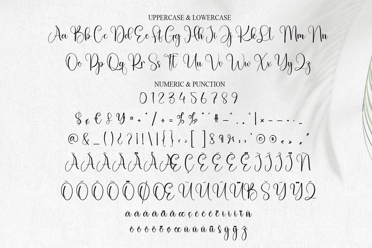 Ashley | Script Font, a Handwritten Font by Scratchones (Photo 7 of 9)