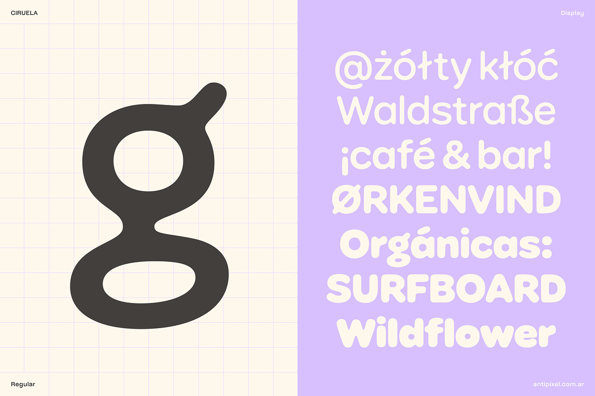 Ciruela | Chunky Round Display Sans, a Sans Serif Font by Antipixel Type Studio (Photo 6 of 19)