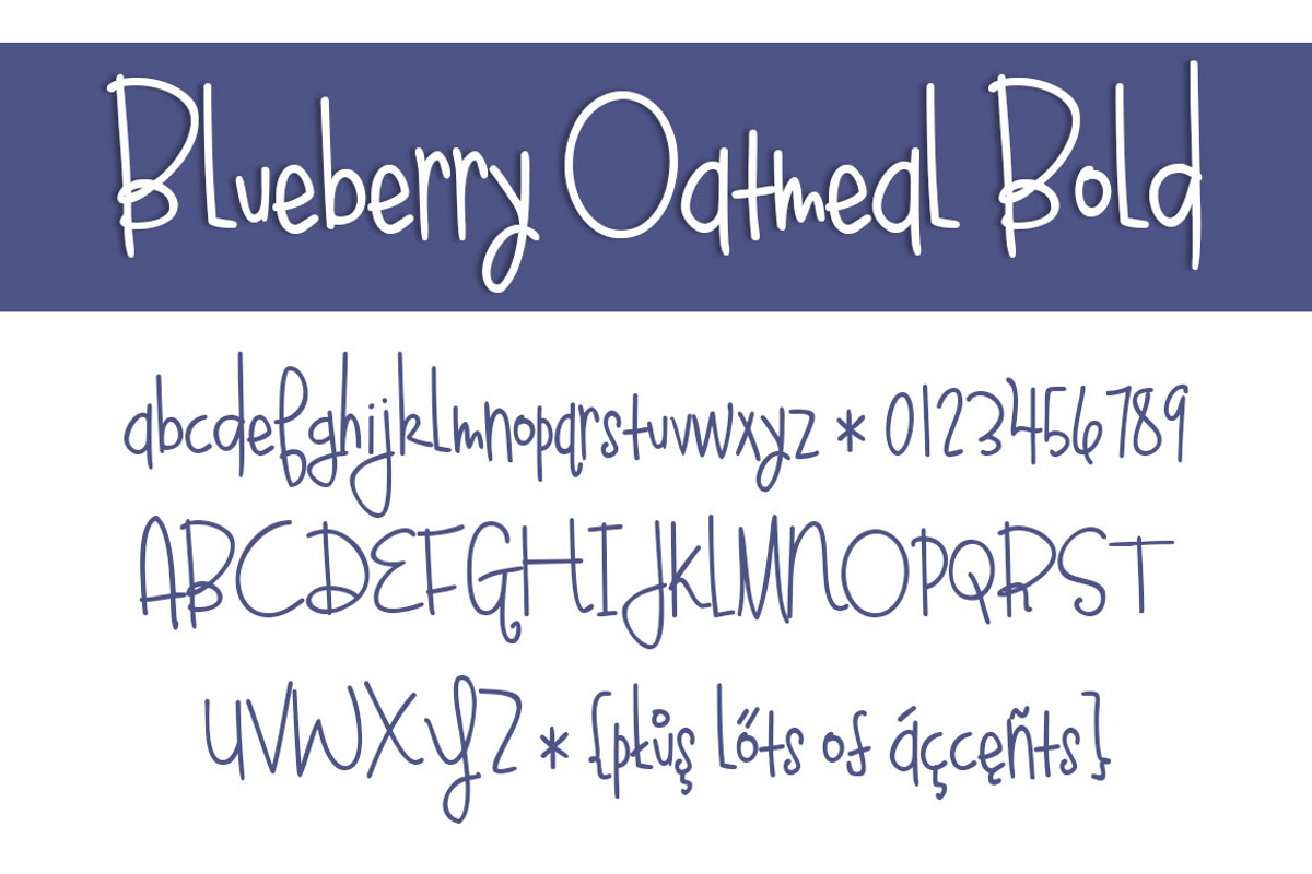 Blueberry Oatmeal Font Family preview 5
