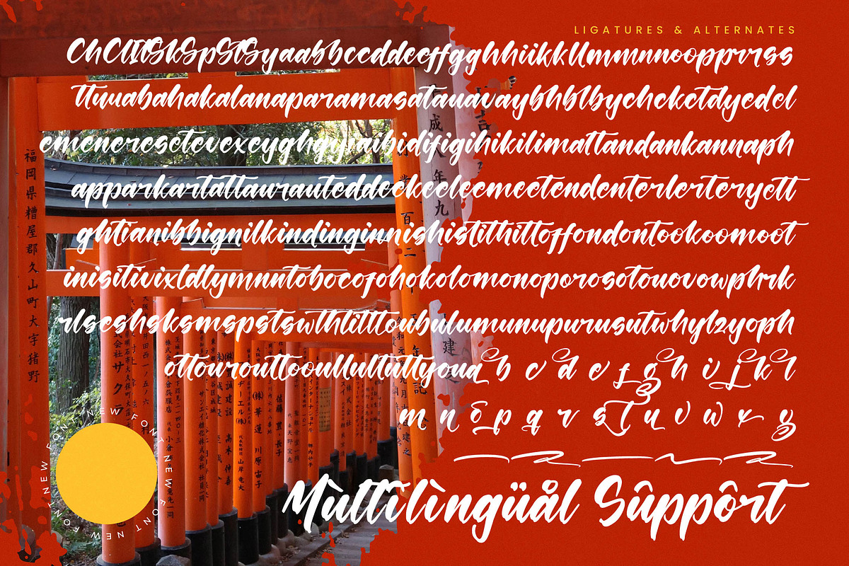 Shinobi Morning Bold Calligraphy, a Script Font by stylishtype.co (Photo 19 of 20)
