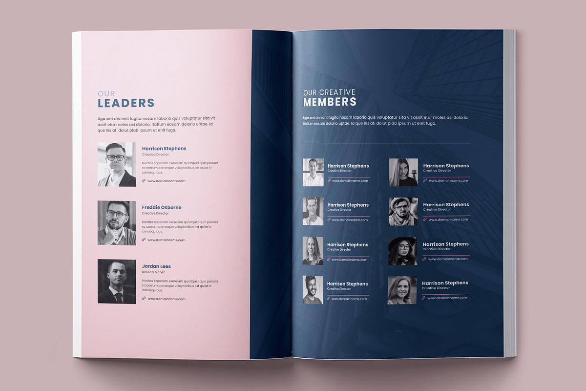 Business Planner Template, Canva, a Brochure Template by Niofix (Photo 3 of 6)
