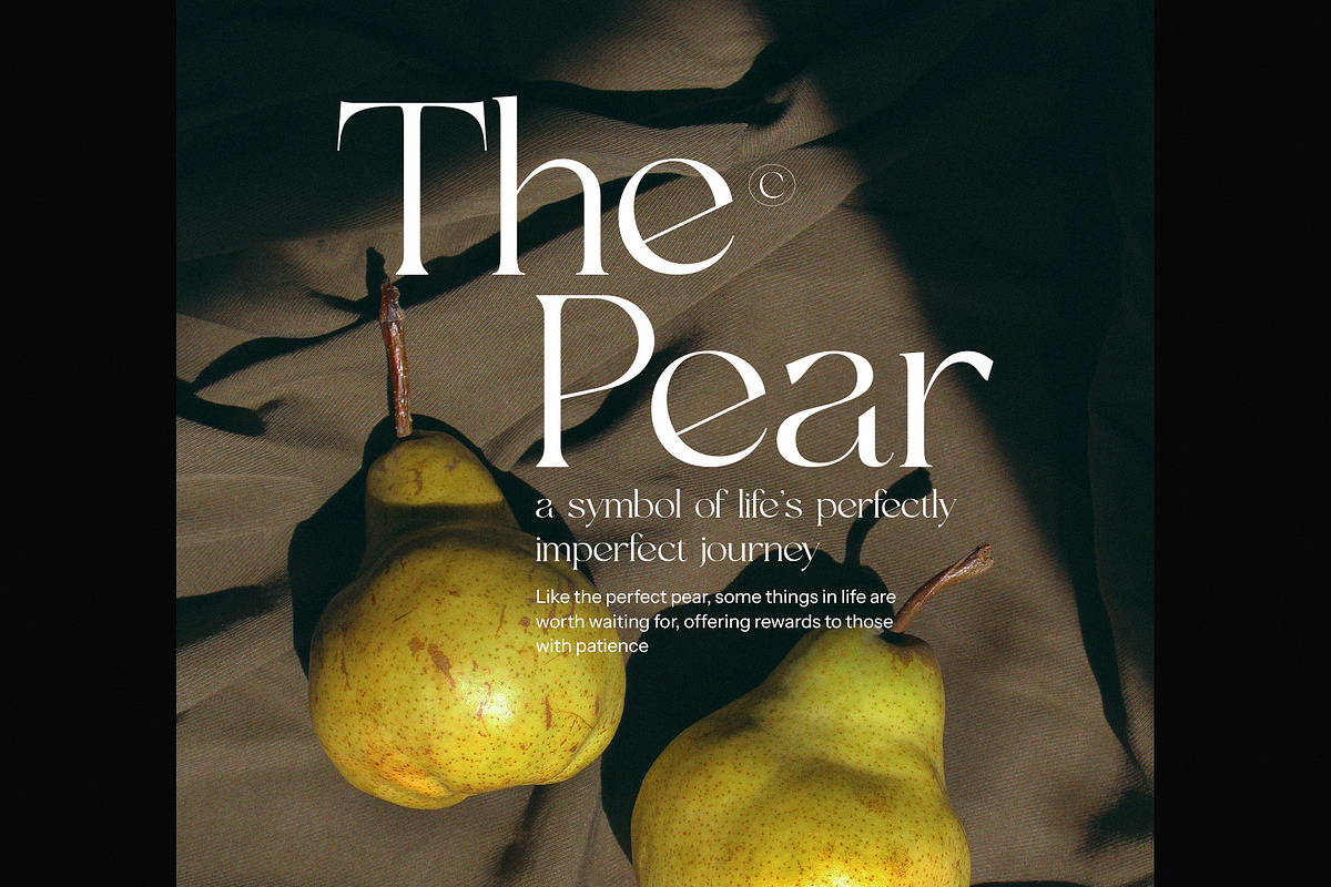Fagon Modern Serif Font, a Serif Font by Perfectype (Photo 4 of 8)
