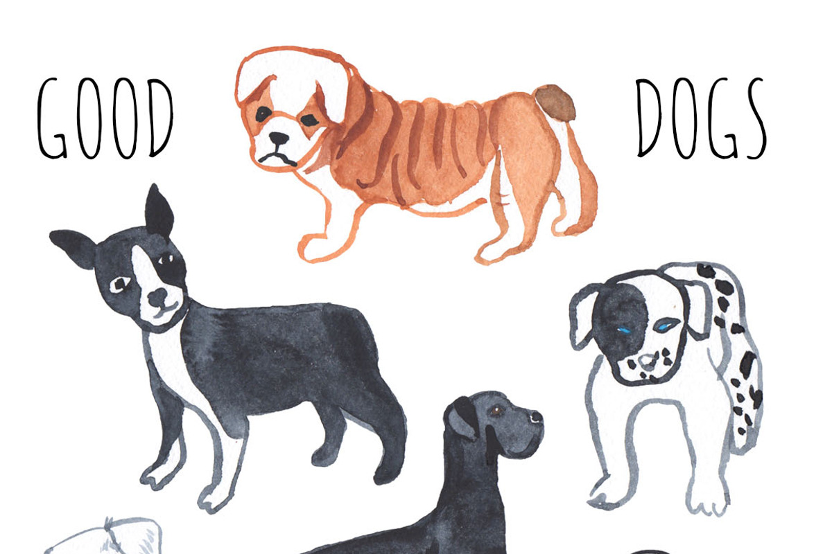 Good dog. Animal set, an Animal Illustration by Anyuka (Photo 2 of 6)