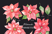 Watercolor poinsettia clipart, an Illustration by OlDm_Shop (Thumbnail 3 of 10)