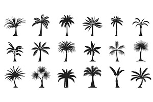 Palm tree icons set. Palm, an Object Illustration by Valerie Bodnar