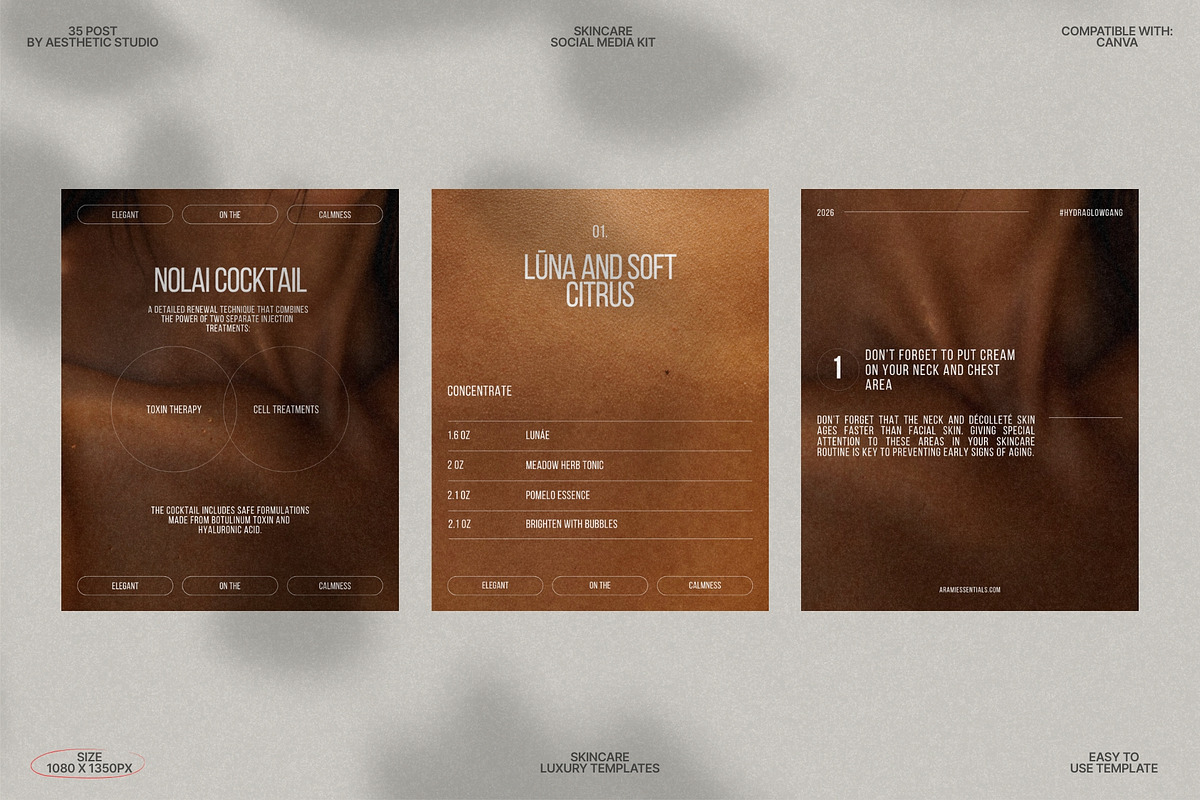 Modern Canva Skincare Post Set preview 5