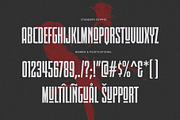 Lucky Charm Modern Ligature Sans, a Sans Serif Font by Perfectype (Thumbnail 7 of 8)