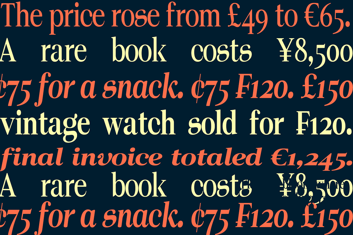 Norche - Serif Family, a Serif Font by Dora Typefoundry (Photo 9 of 10)