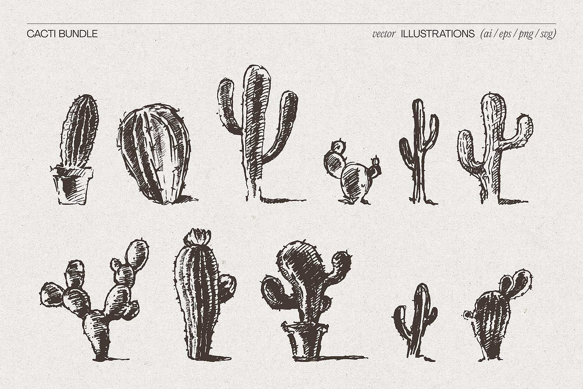 Sketch Cacti Vector Bundle, a Seasonal Illustration by TheMountBirdStudio (Photo 4 of 14)