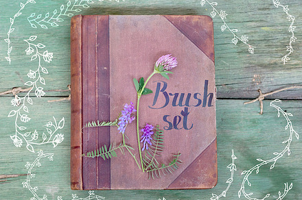 Set of brushes for illustrator