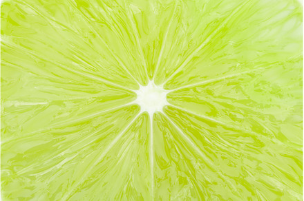 Green lime slice macro closeup