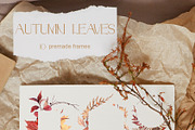 Autumn Leaves Set Illustrations, a Seasonal Illustration by NataliArkushArt (Thumbnail 7 of 12)