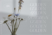 Going Golden Font Family, a Serif Font by Creativeqube Design (Thumbnail 9 of 17)