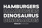Back Groove, a Serif Font by Gatype (Thumbnail 5 of 12)