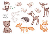 Woodland animals clip art, an Animal Illustration by SirenaArt (Thumbnail 3 of 11)