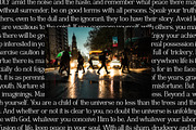 TAN - GARLAND, a Serif Font by TanType (Thumbnail 15 of 16)