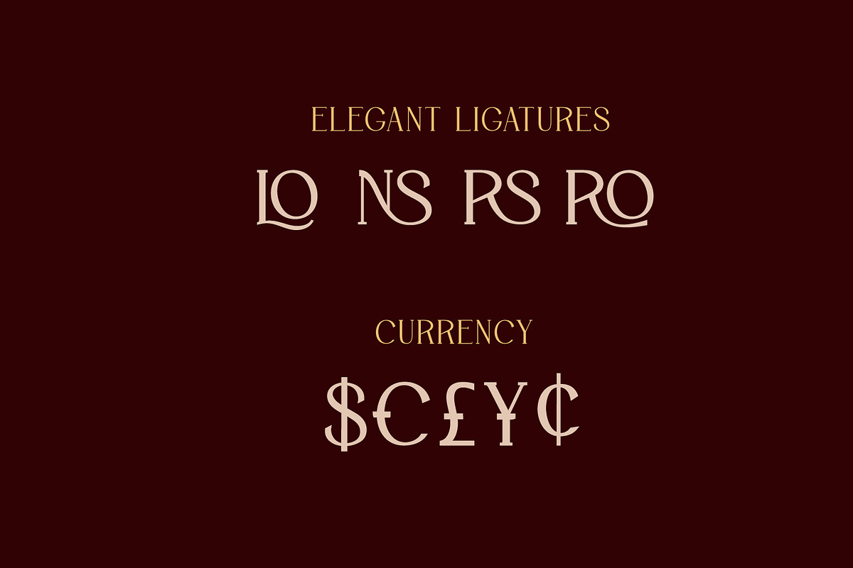Saint Paris - Elegant Serif Typeface, a Serif Font by AN Productions (Photo 6 of 9)