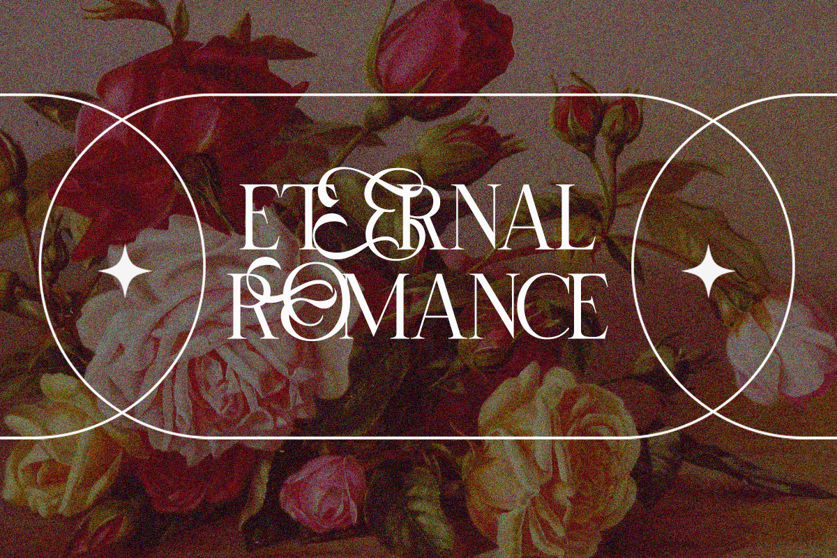 Selnonce - Elegant Luxury Serif, a Serif Font by Qweera Studio (Photo 4 of 12)