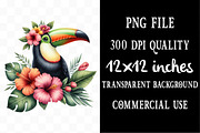 Watercolor toucan bird clipart, an Illustration by Designking (Thumbnail 5 of 5)