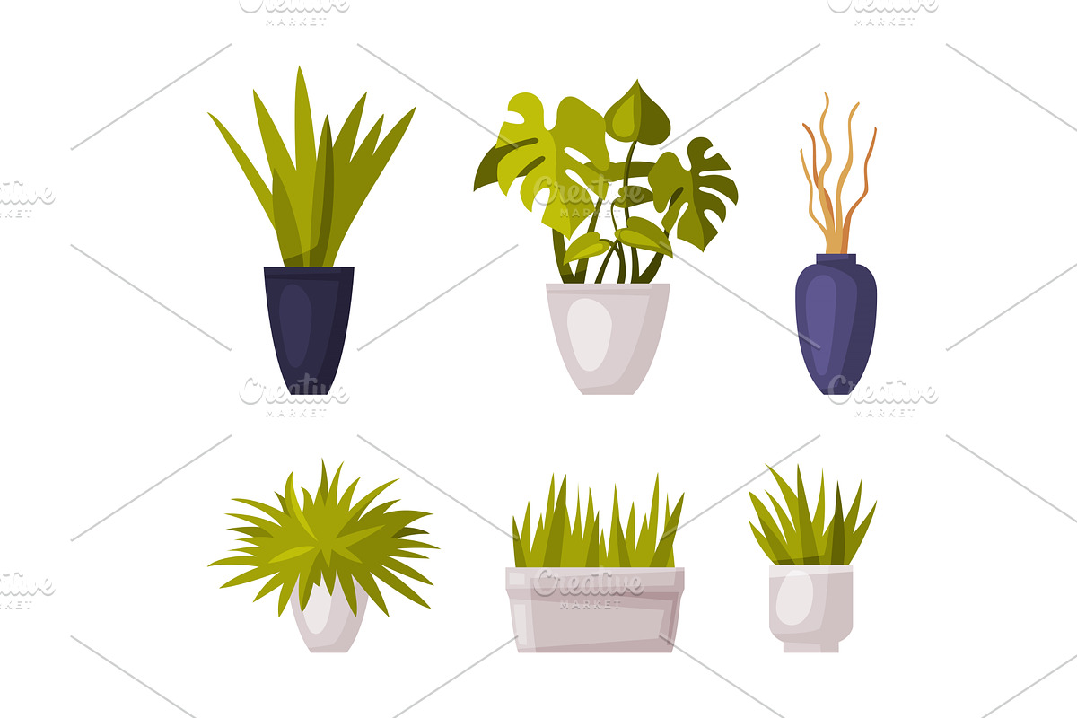 Decorative Houseplants in Pot and, an Object Illustration by TopVectors
