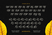 Billotea Typeface, a Script Font by alit design (Thumbnail 7 of 20)