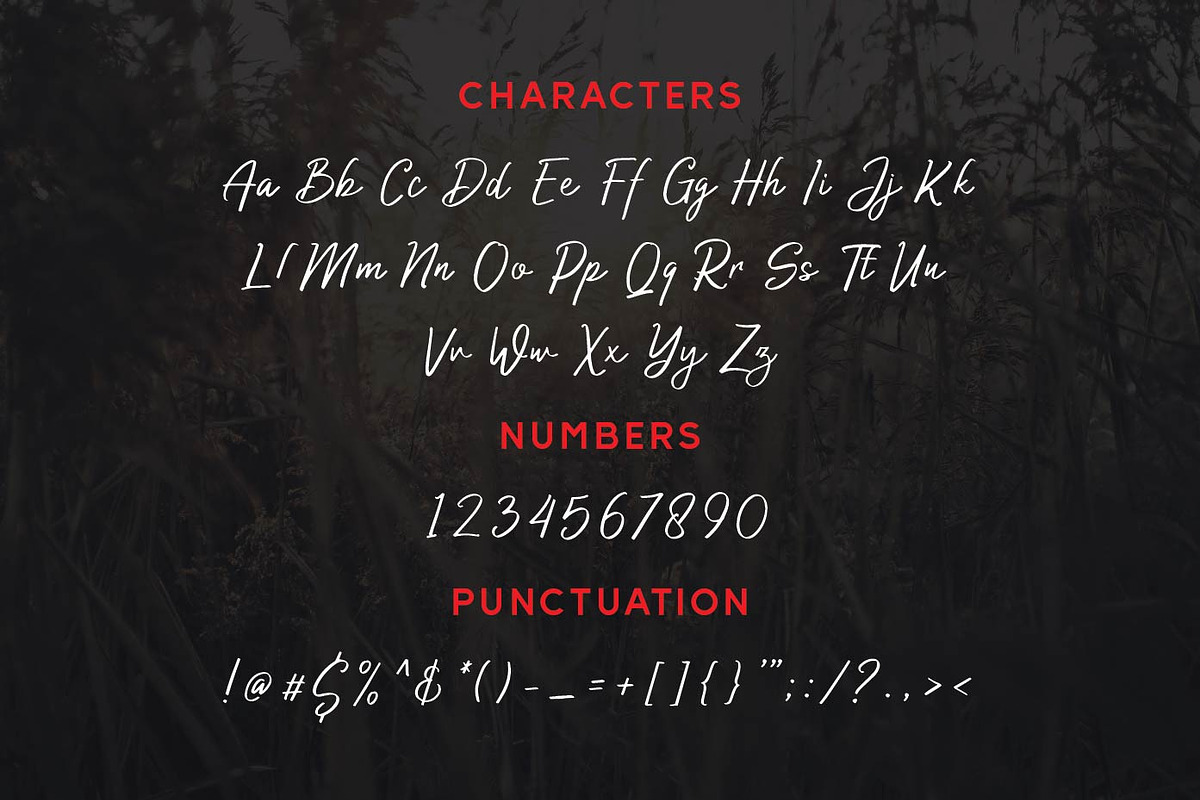 Authorized Signature Script Fonts, a Script Font by Patria Ari (P4tcreativa) (Photo 8 of 10)