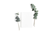 Minimal greeting card mockup set, a Print Template by KateAedon (Thumbnail 2 of 3)